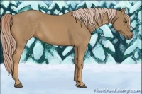 Horse Color:Palomino 