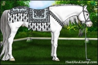 Horse Color:Liver Chestnut Sabino Splash Appaloosa 