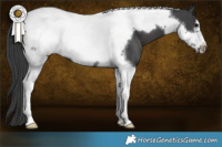 Horse Color:Black Tobiano Frame