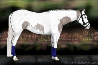 Horse Color:Silver Blue Roan Splash Tobiano Rabicano