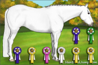 Horse Color:Gray White Spotted Black Splash 