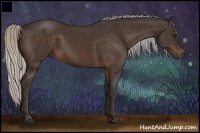 Horse Color:Silver Bay