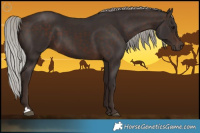 Horse Color:Silver Brown