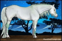 Horse Color:Watercolor Silver Buckskin Onyx