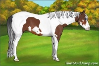 Horse Color:Bay Splash Tobiano Frame