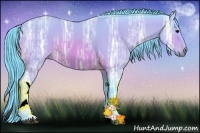 Horse Color:Watercolor Buckskin Ice Sabino