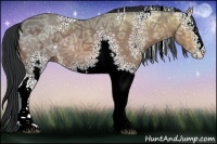 Horse Color:White Spotted Bay Ice