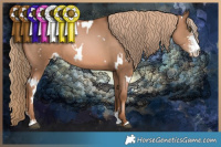 Horse Color:White Spotted Liver Chestnut Pearl Sabino 