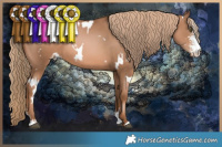Horse Color:White Spotted Liver Chestnut Pearl Sabino