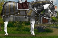 Horse Color:Grullo Appaloosa 