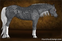 Horse Color:Silver Black Chinchilla