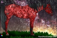Horse Color:ERROR: UNKNOWN ANOMALY
