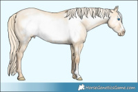 Horse Color:Palomino Pearl Dun Frame 