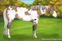 Horse Color:White Spotted Silver Buckskin Frame