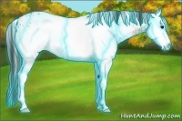 Horse Color:Thunderstruck White Spotted Bay Ice Splash 