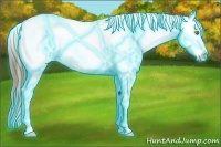 Horse Color:Thunderstruck Amber Champagne Varnish