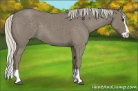 Horse Color:Silver Smoky Blue Roan Splash 