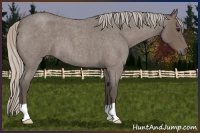 Horse Color:Silver Blue Roan 