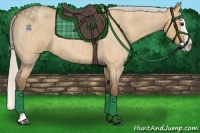 Horse Color:Silver Bay Roan Dun Splash 