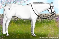 Horse Color:Chestnut Chinchilla Splash 