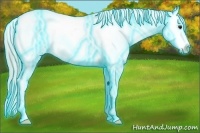 Horse Color:Thunderstruck White Spotted Silver Bay Tobiano Appaloosa
