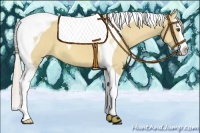 Horse Color:Palomino Dun Splash Tobiano