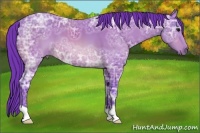 Horse Color:Watercolor Bay Ice 