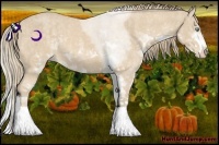Horse Color:Perlino Sabino Brindle