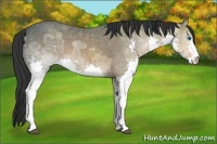 Horse Color:Brown Ice Splash
