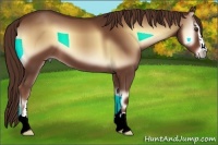 Horse Color:Red Onyx Sabino