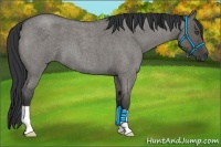 Horse Color:Grullo Roan 