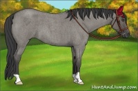Horse Color:Smoky Grullo Roan 