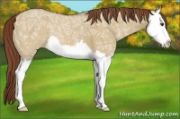Horse Color:Red Dun Ice Splash