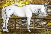 Horse Color:Chocolate Palomino Pearl Sabino Appaloosa Rabicano
