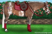Horse Color:White Spotted Silver Brown Splash 