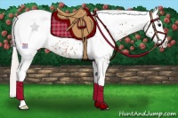 Horse Color:White Spotted Silver Brown Rabicano