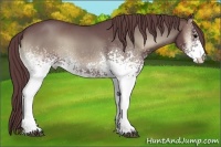 Horse Color:White Spotted Chocolate Blue Onyx Roan Rabicano