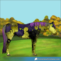 Horse Color:ERROR: UNKNOWN ANOMALY and ERROR: UNKNOWN ANOMALY