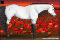 Horse Color:Bay Chinchilla Rabicano