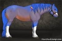 Horse Color:Watercolor Bay 