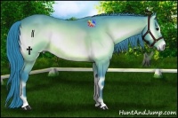 Horse Color:Watercolor Bay Onyx Rabicano 