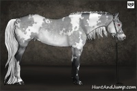 Horse Color:White Spotted Silver Brown Chinchilla Dun 