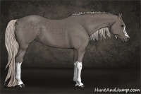 Horse Color:Silver Black 