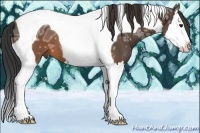Horse Color:Brown Ice Splash Tobiano 