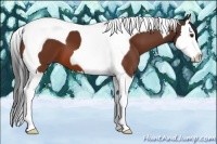 Horse Color:Bay Splash Tobiano 