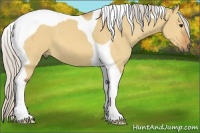 Horse Color:Silver Bay Dun Tobiano