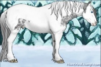 Horse Color:Black Ice Splash Tobiano Appaloosa