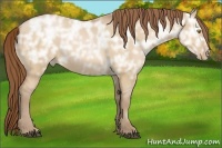 Horse Color:Bay Ice Pearl Dun Sabino