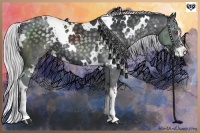 Horse Color:White Spotted Silver Black Chinchilla Sabino 