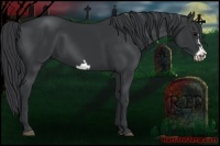 Horse Color:Black Frame 